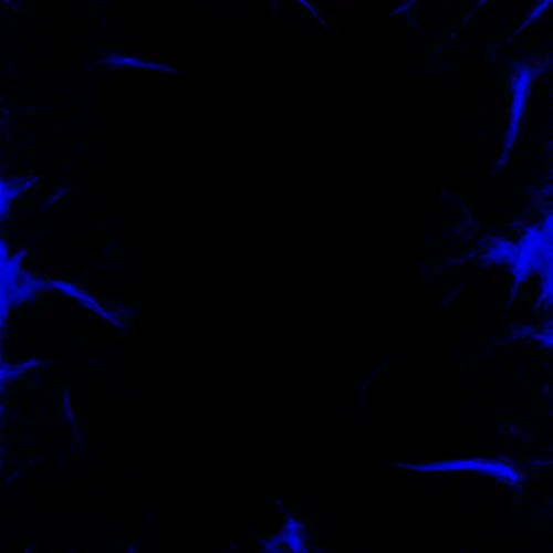 Item #51929734946411346289540790635765095060363125039145709683616697225526938435585 Media