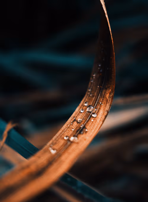 Item #103066555971611021134149055345018438449666255846358212838134356830093595115521 Media