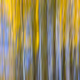 Landscapes and Seascapes
