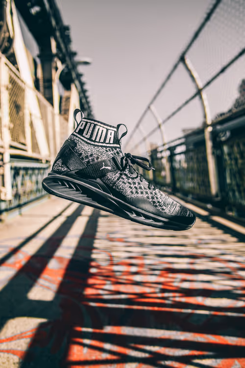 Item #17236629451747294807737001379297884766294275287106215027979615270842816004097 Media