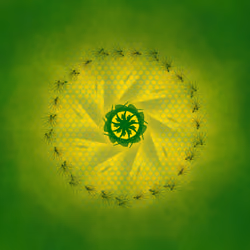Intensive Green 