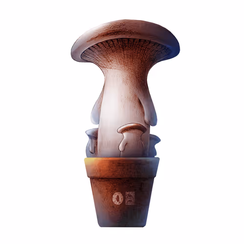 Item #30982648825867685309832532645778125260708358734553449606195726845950384144385 Media