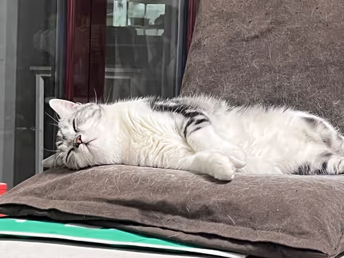 Item #37540200039033965753537813683310507906688757112581060497994473996510298112001 Media