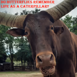 51313302132644519913343847646347811445510524411913136629935896403560426897409