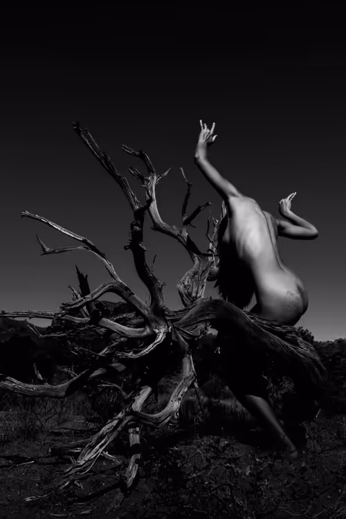 Item #83332782865168099246111470793904216784049773190563389119764666128917399076865 Media