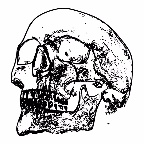 Item #32280227684796633281509489685107784796052920964773961429317660106892848922625 Media