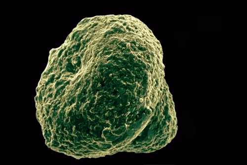 Item #115505927728344181025262329658899620468765138243295584093365708466070008889345 Media