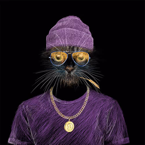 Item #53385941456676190110838339911728309048210199864448931637696851130789021089793 Media