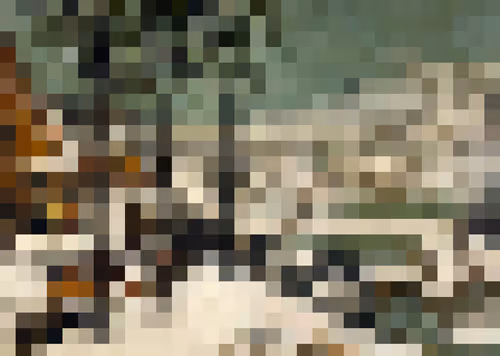 Item #50090284344635065124208223273967072592082880527809059395096329559213122519041 Media