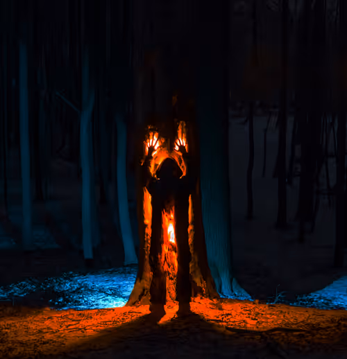 Item #114520185407821149204581307009181391760561859440781731159450127481466829930497 Media