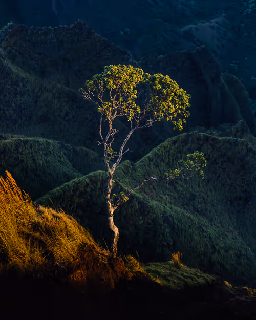 Item #11724833867030775132241085553592039053623098659522650139885247784479482707969 Media