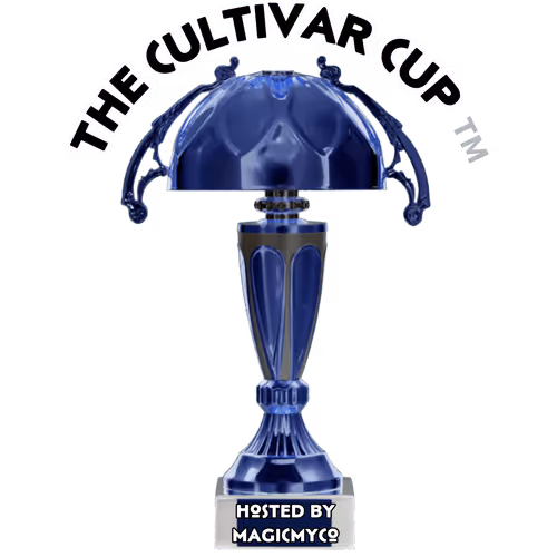 Item #73041006949554126812977012601202189155810173353714754664110885476215233183745 Media