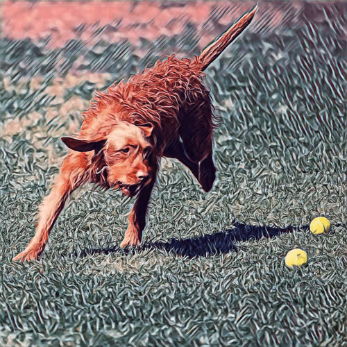 Item #51313302132644519913343847646347811445510524411913136629935893370007845863425 Media