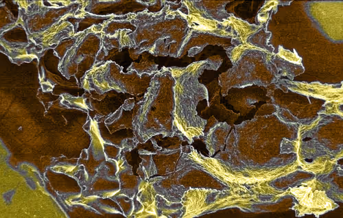 Item #115505927728344181025262329658899620468765138243295584093365708482562683305985 Media