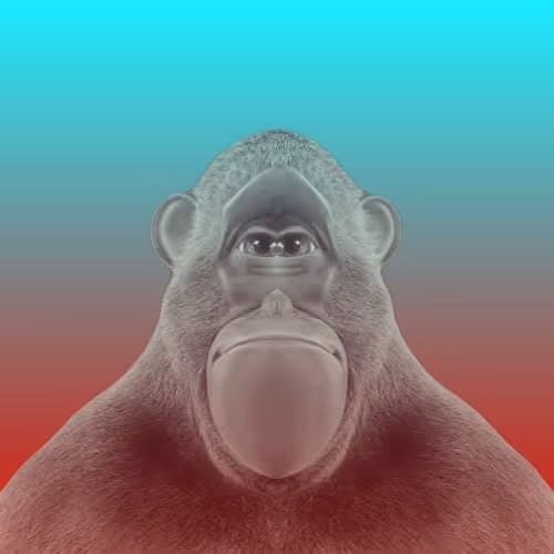 Item #110219189552944995908114465647062170045768870166158879096125434213837574242305 Media