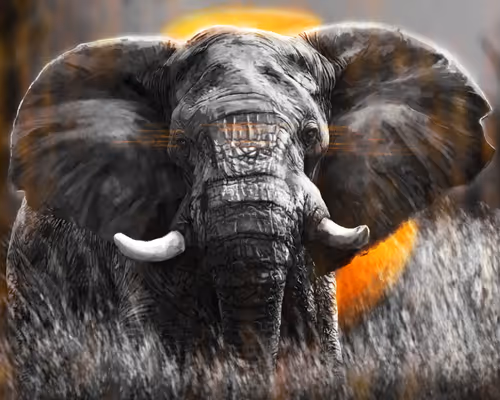 Item #48157336750142424601447934724257128450378387240161872582879860672653166641153 Media