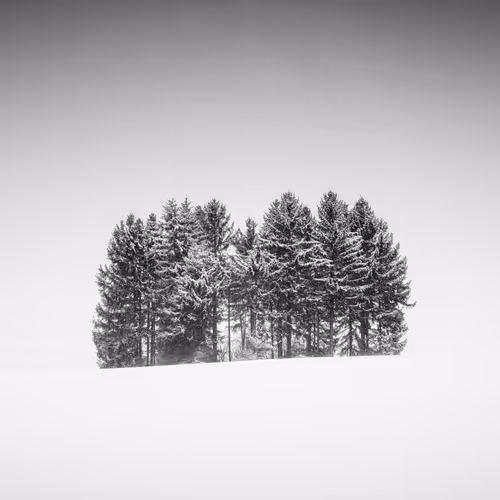 Item #101547054933813335062644925459541226737619958059144835271274916360825342001153 Media