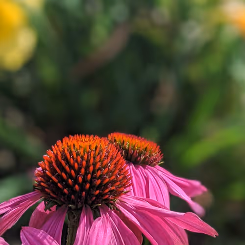 Item #35547100278351488731763920705704692290777172266042510105310327007091892420609 Media