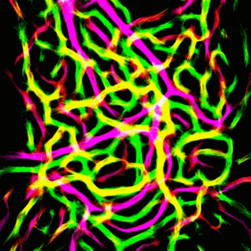 Item #51929734946411346289540790635765095060363125039145709683616697083689938452481 Media