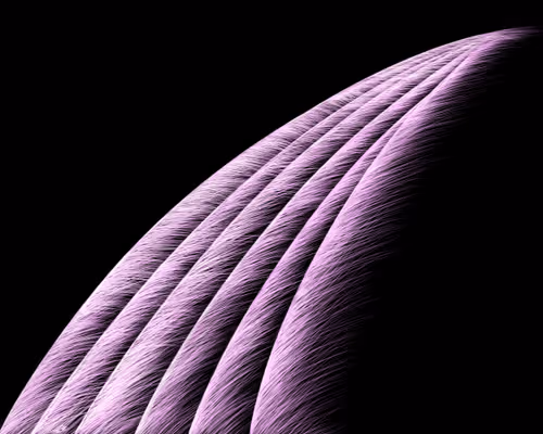 Item #64515795529198953580537894764101498903184970537215321722121714031260782821377 Media