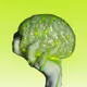 CO2 free ... Creativity is Always Green