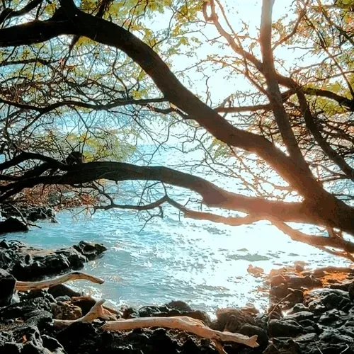 Item #19755943560703832549694930259889174281342606690861395808005517934344804499457 Media