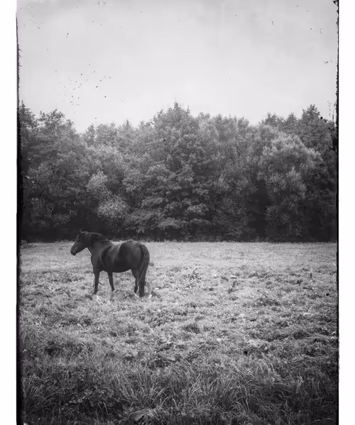 Item #54278754786012052101215444951673443113969909932981723830775713672874501865473 Media