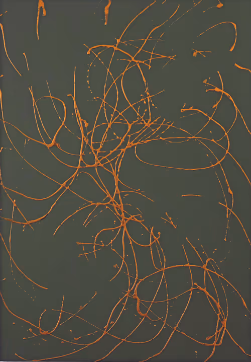 Item #108720101926881500504444181750674817429130040103745024839207986537121684914177 Media