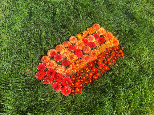 Item #54592082719803053098543928044698800442533756316367598168258736684548187226113 Media