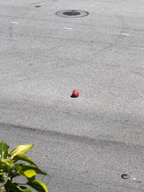 Item #109990569529100249910104175060987532296374552151615527288588051435315198427137 Media