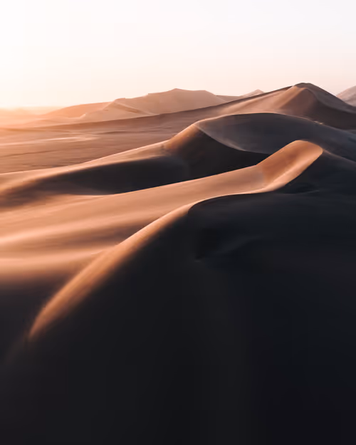 Item #86385672013831146465548650078662187187055141490040132723525304197356068012033 Media