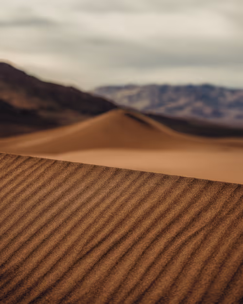 Item #4015407752300364533452678747912321307133041258187258919128982360183778836481 Media