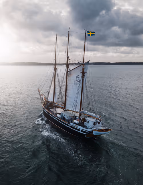 Item #72651886882207206539966383415555664124556444317113885039601297102944805584897 Media