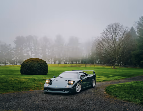 Item #31306949431079082875472894456006319516026694367471683219785722337620544978945 Media