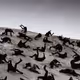 77796582538637659253080515519361525842477380257073021786458905051324341026817