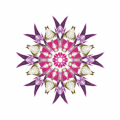 Item #26185187814367725376940026929040218982398144969044494291860281322543190638593 Media