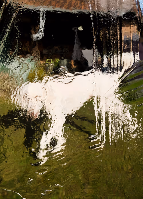 Item #60517015273015201167448896959818064210390269083404328919055338521675905892353 Media