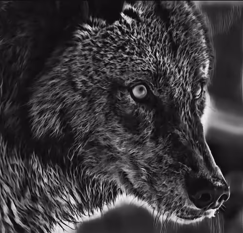 Item #22623297383426892917101335270761698949847758593200202890070986136825106530305 Media