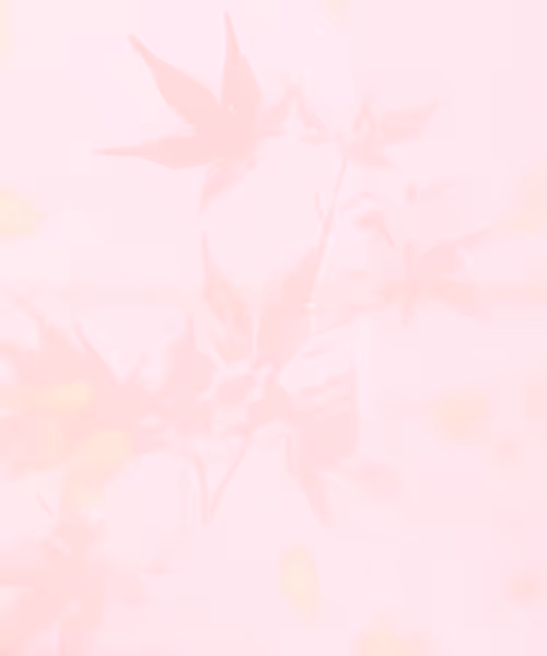 Item #66412083877775050052255921183624814536266007620308041883263231592750823505921 Media