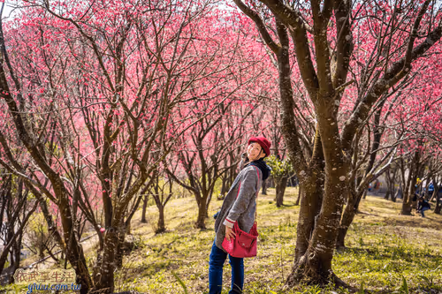 Item #100744422725674417057824683306763013505668843176654858816283483916439350411265 Media