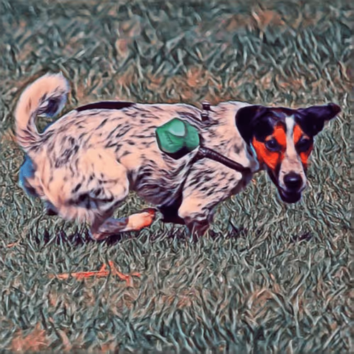 Item #51313302132644519913343847646347811445510524411913136629935893366709310980097 Media