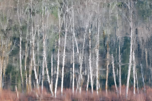 Item #81441334517361708208394031135700195474624799851237506988747107950204551168001 Media