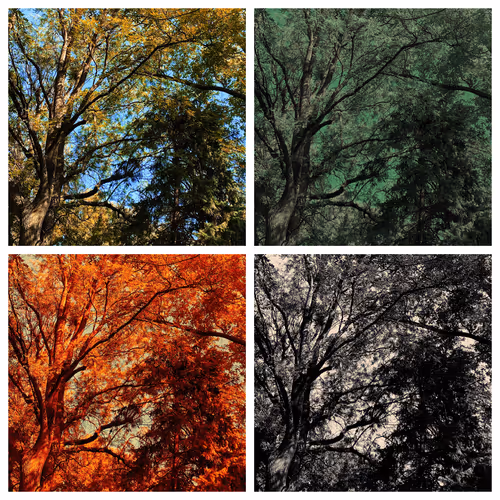 Item #23334751432618233658657788405735724543687366167130374540829032770078926438401 Media