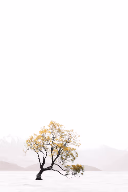 Item #113106517295801719263541253605561877557080643982296006819616818950896988717057 Media