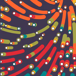 29335292108356902471460911056367440550523195812646283336898934180706621849601