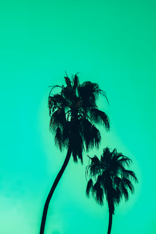 Item #35557780727049604459658880725917592814256363748111026780455796793687987453953 Media