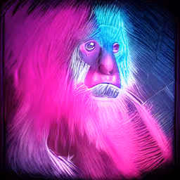 Item #66035507764308561455303020498537866818978641263332186730706469919011605839873 Media