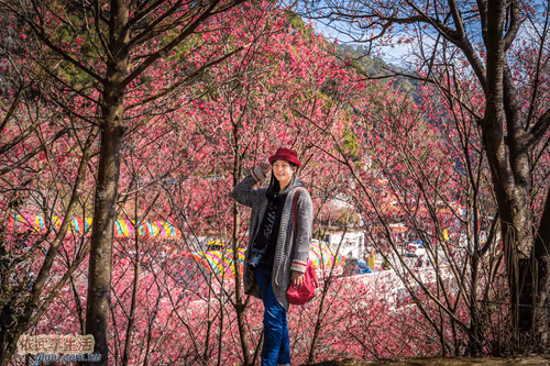 Item #100744422725674417057824683306763013505668843176654858816283483912041303900161 Media