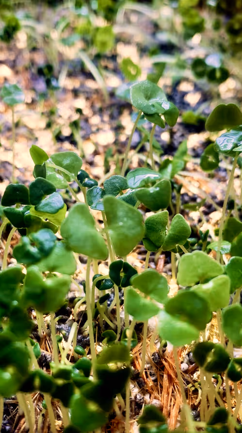 Item #112023108605601249318065536302410732767173682366592262667857165190776498421762 Media