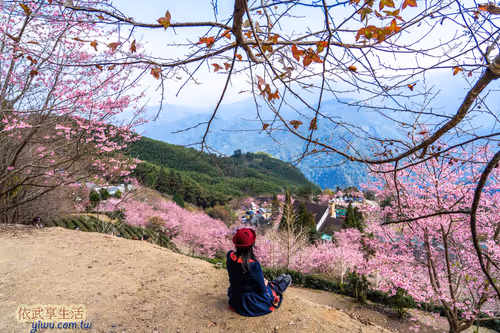 Item #100744422725674417057824683306763013505668843176654858816283483964817862033409 Media